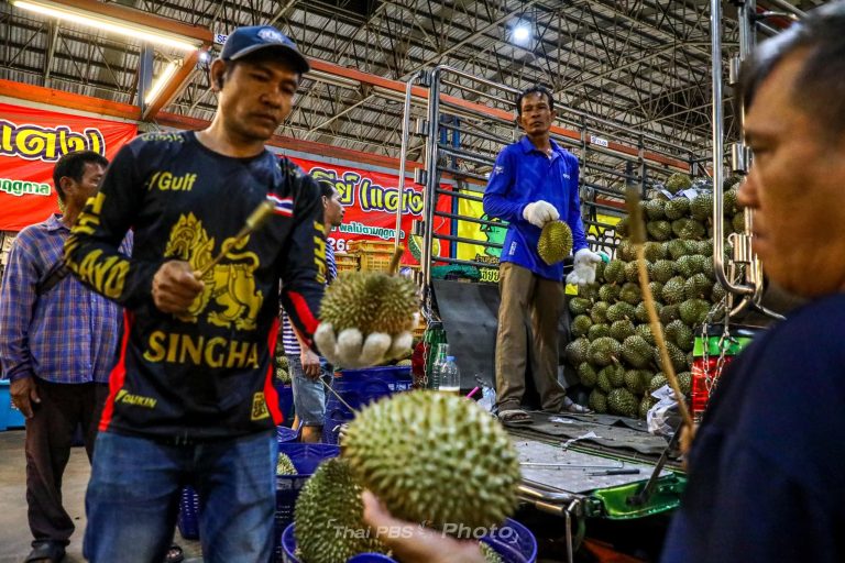 2-ภาพทุเรียน