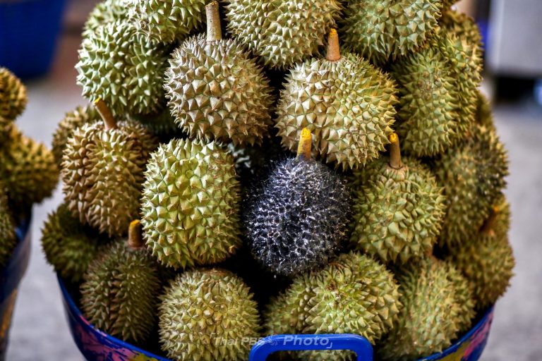 3-ภาพทุเรียน