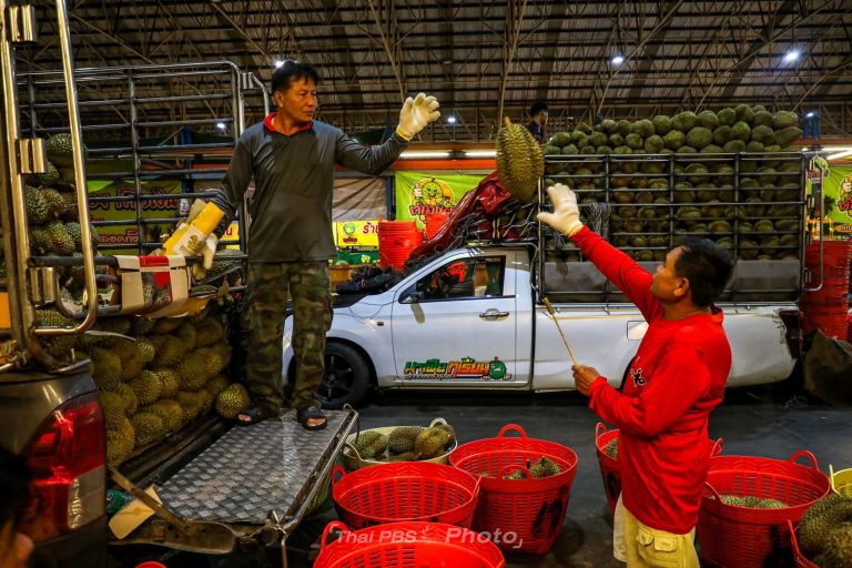 4-ภาพทุเรียน