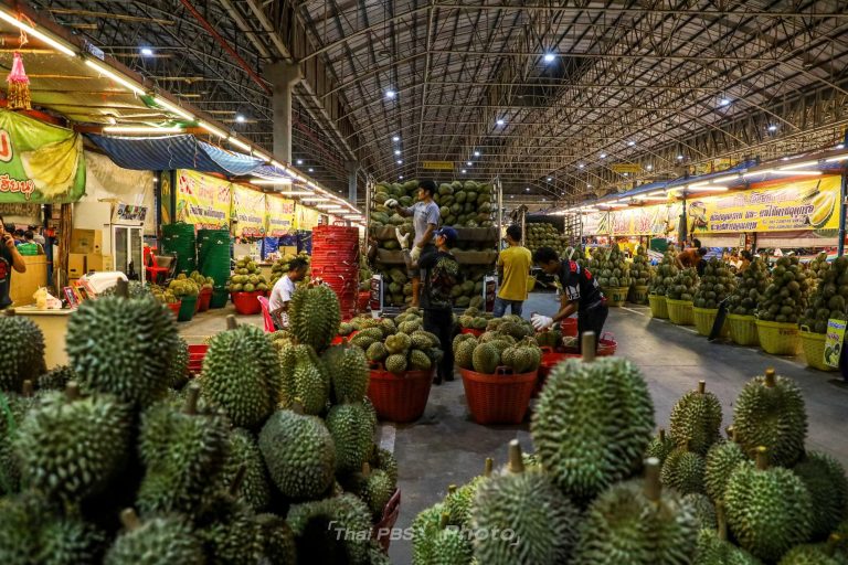 5-ภาพทุเรียน