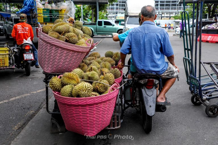 7-ภาพทุเรียน