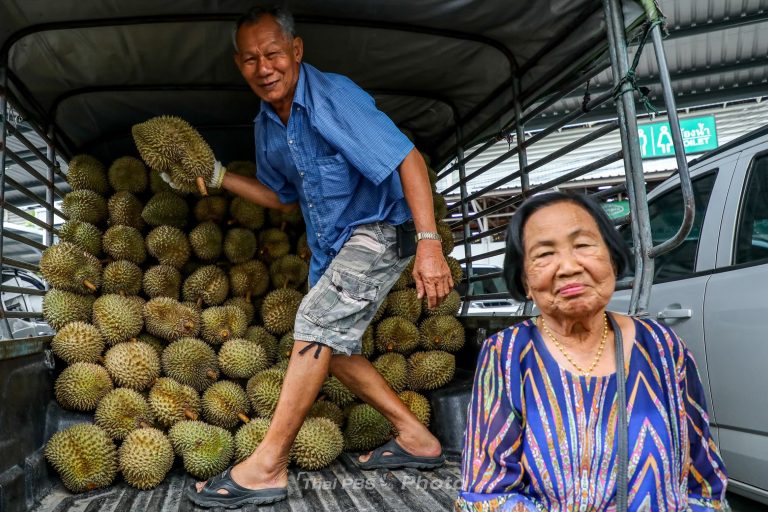 8-ภาพทุเรียน