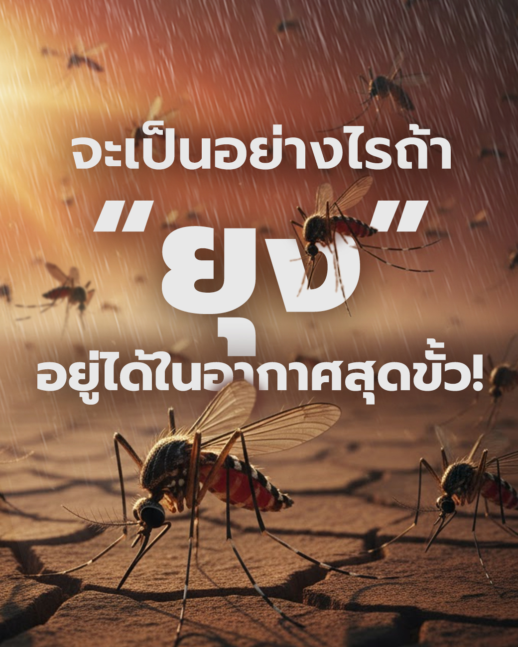 คุยกับนักกีฎวิทยา จะเป็นอย่างไรถ้า “ยุง” อยู่ได้ในอากาศสุดขั้ว!