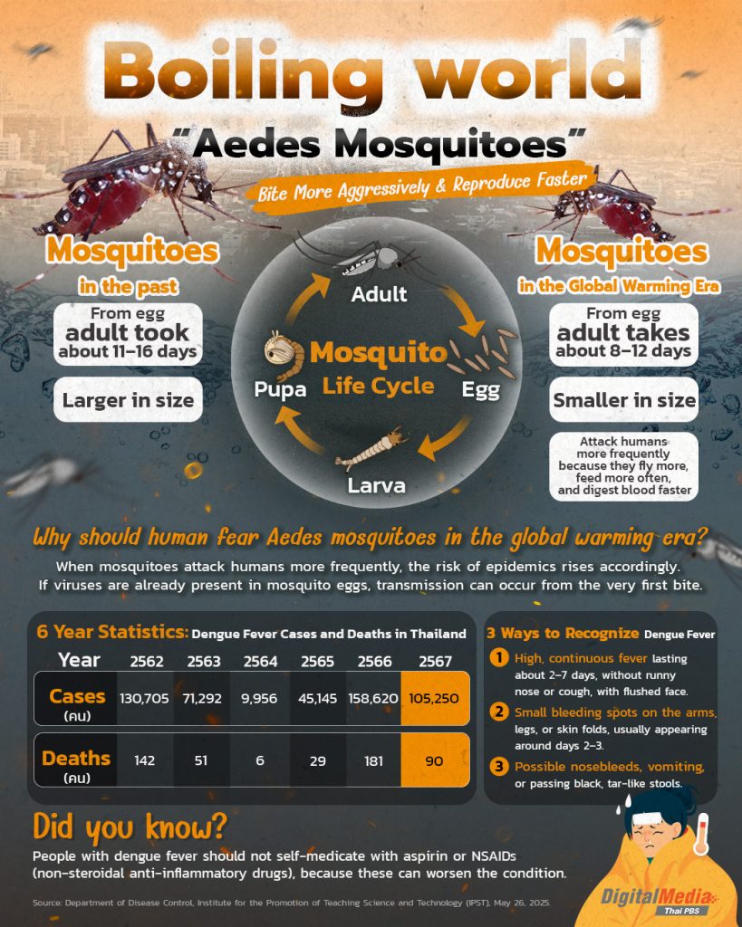 Boiling world, “Aedes Mosquitoes? Bite More Aggressively & Reproduce Faster