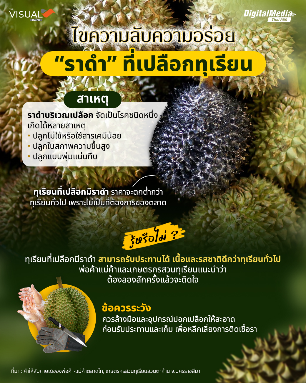 ไขความลับความอร่อย “ราดำ” ที่เปลือกทุเรียน