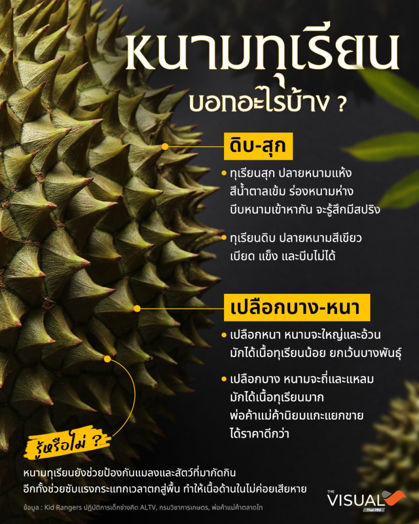 หนามทุเรียน บอกอะไรบ้าง ?