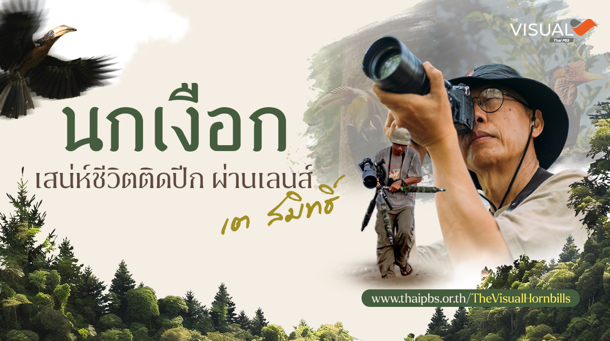 นกเงือก