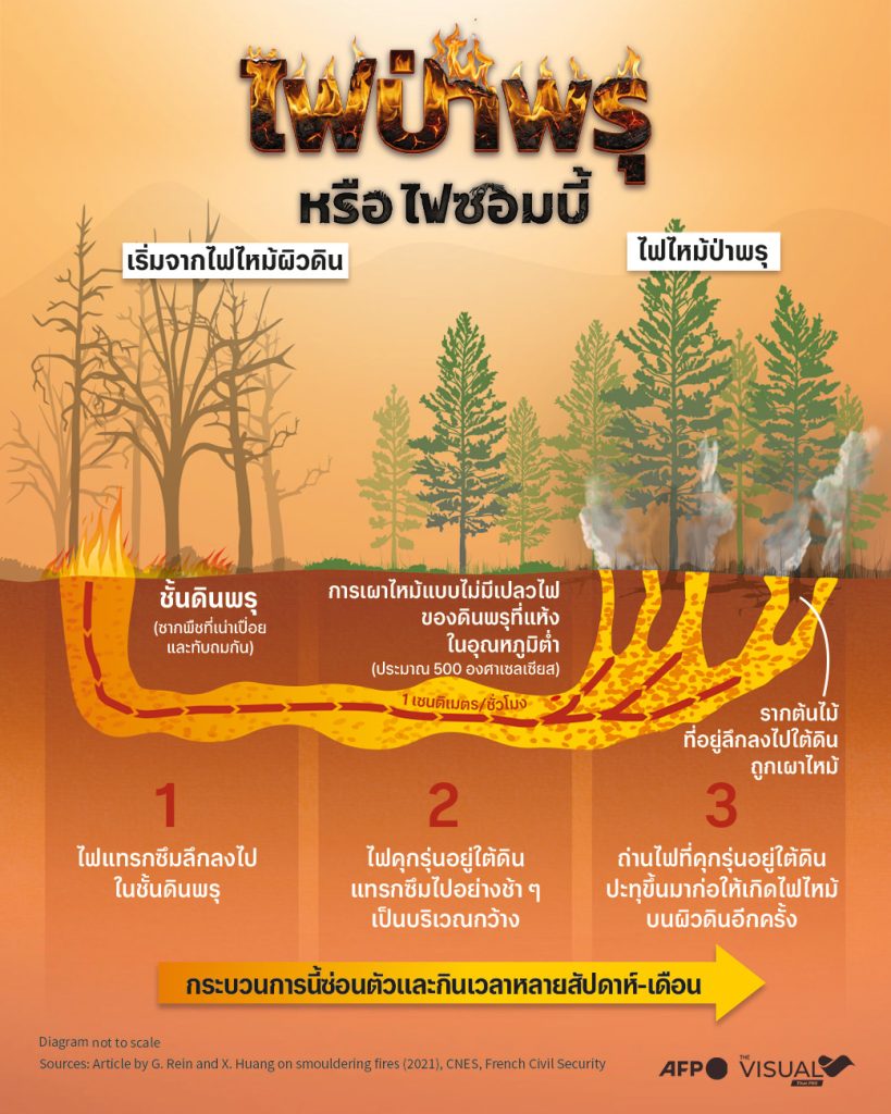 รู้จัก “ไฟป่าพรุ หรือไฟซอมบี้” ไฟป่า ซ่อนตัวในชั้นดินยากจะดับ!