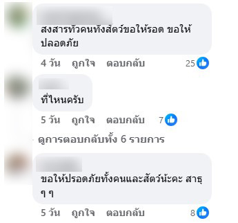 ภาพคอมเมนต์แสดงความรู้สึกเชื่อว่าเหตุการณ์วัวลอยน้ำเป็นเรื่องจริงที่เกิดขึ้นในประเทศไทย 