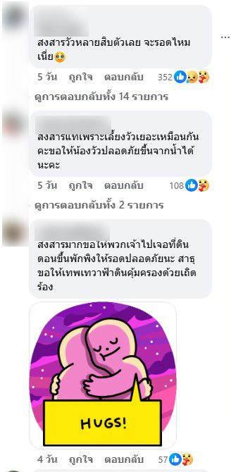 ตรวจสอบแล้ว: คลิปฝูงวัวลอยน้ำ อ้างเกิดจาก “พายุบัวลอย” ที่แท้เป็นเหตุการณ์ประเทศเม็กซิโก