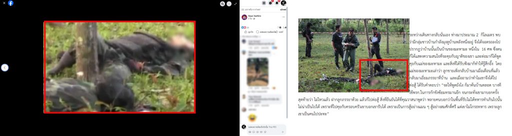 ภาพเปรียบเทียบภาพจริงกับภาพปลอม