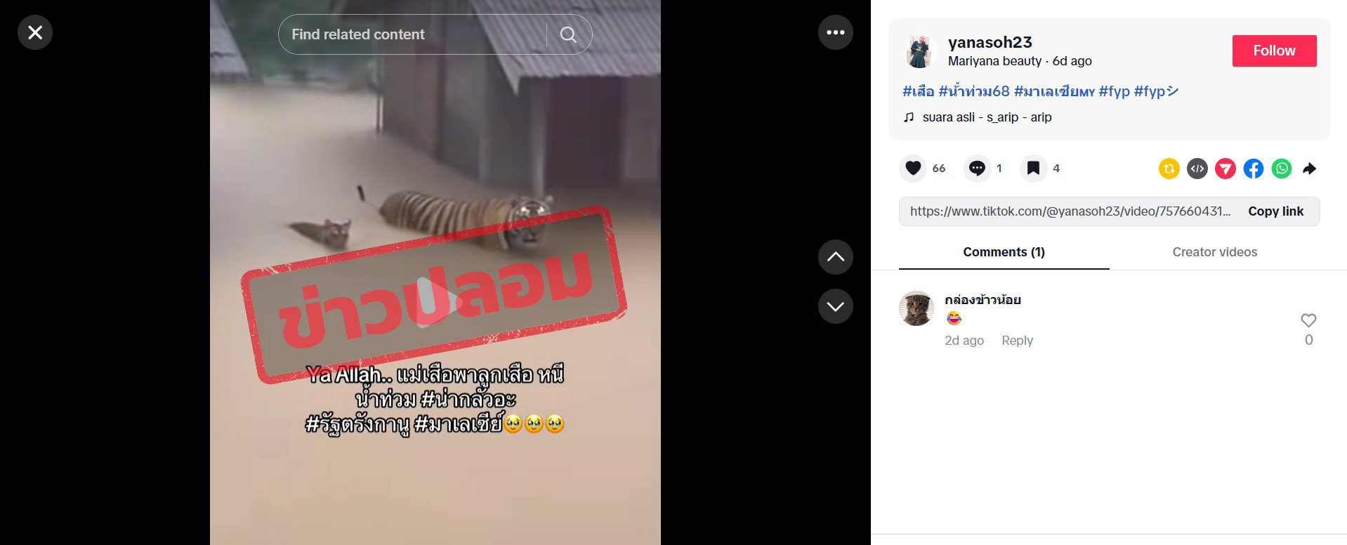 ภาพบัญชี Tiktok แชร์ภาพวิดีโอเสือลุยน้ำท่วมที่มาเลเซีย 