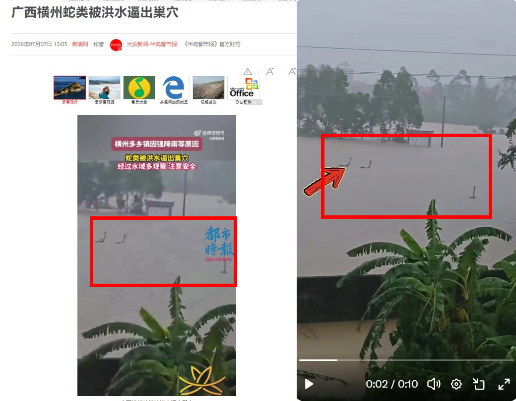 ภาพเปรียบเทียบคลิปวิดีโอจากเว็บไซต์ Sina (ซ้าย) และจากวิดีโอในโพสต์(ขวา)