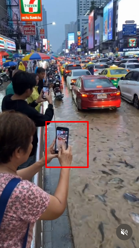 คนที่ยืนถ่ายรูปบริเวณทางเท้า เมื่อมองที่หน้าจอมือถือ ภาพที่ปรากฏบนจอไม่ได้บันทึกหรือขยับตามมุมมองปลาในน้ำจริงอย่างสมจริง แต่เป็นภาพนิ่งหรือภาพเคลื่อนไหวที่ดูลอยๆ