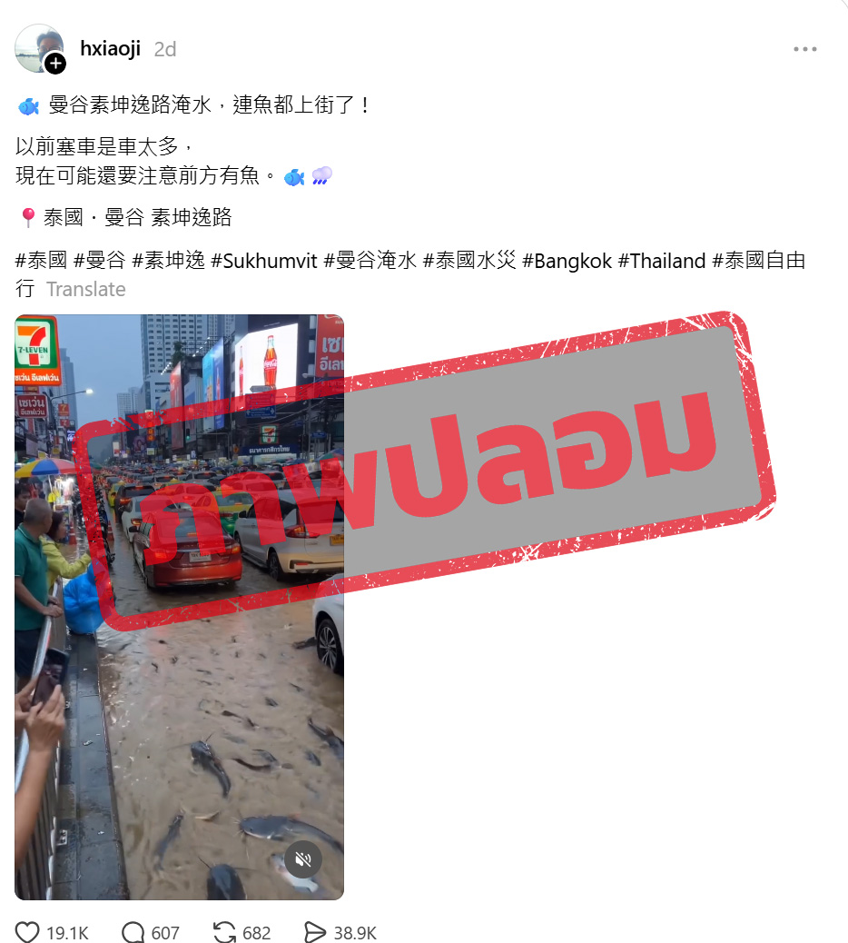 ภาพบัญชี Thread แชร์ภาพคลิปวิดีโอ ปลาว่ายอยู่ในน้ำท่วมบนถนน