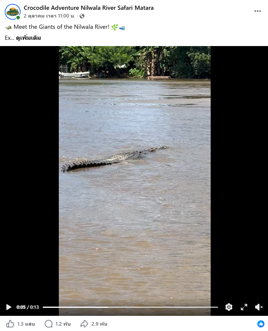 เพจเฟซบุ๊ก Crocodile Adventure crocadventure nilwala